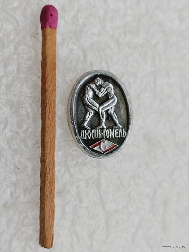 Знак-фрачник. ДЮСШ - Гомель, ДСО "Спартак"
