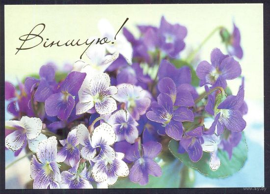 2003 ДМПК Беларусь Вiншую !