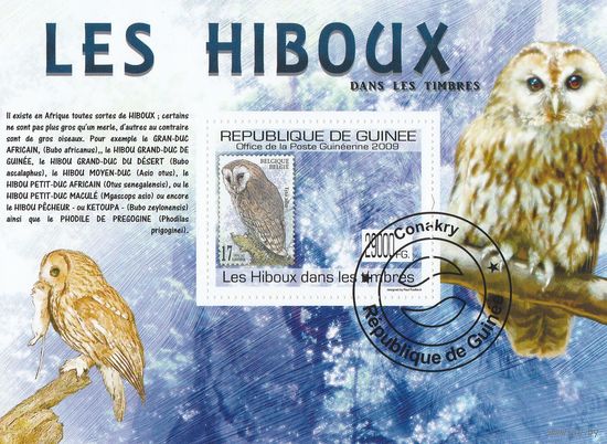 Гвинея /Совы на марках/ 2009г
