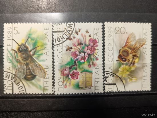 1989. Пчелы
