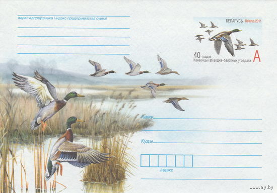 Беларусь 2011 ХМК с ОМ 40-летие Конвенции о водно-болотных угодьях (к5)