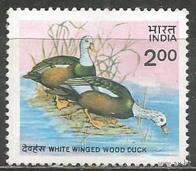 Индия. Белоголовая утка. 1985г. Mi#1021.