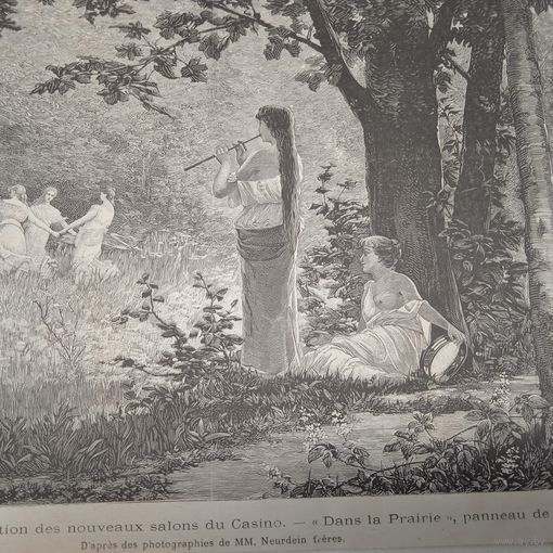 Энциклопедическая гравюра конец 19в. 25х18см. 1892г. Германия.    РАСПРОДАЖА КОЛЛЕКЦИИ.