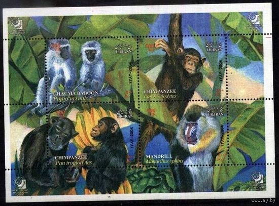 2004 Иран 2976-2979/B40 Фауна 5.00 евро