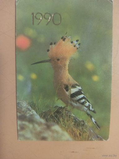 Календарь 1990 Удод?