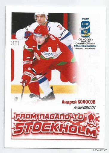 Андрей Колосов / Сборная Беларуси / 2012г.