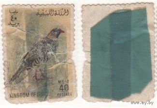 Азия 40 милс Птица (m06)