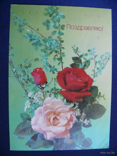 Фото Дергилева И., Поздравляю! 1990, подписана.