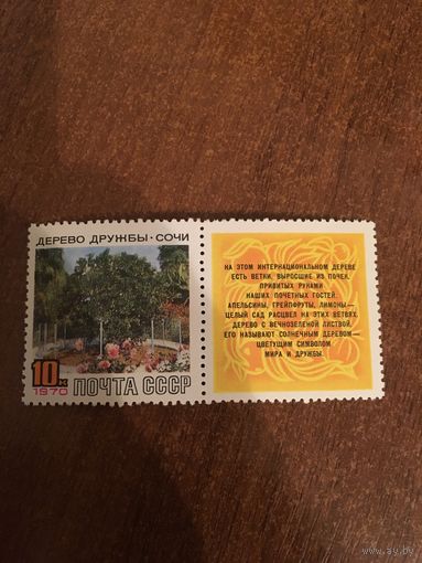 СССР 1970. Дерево дружбы