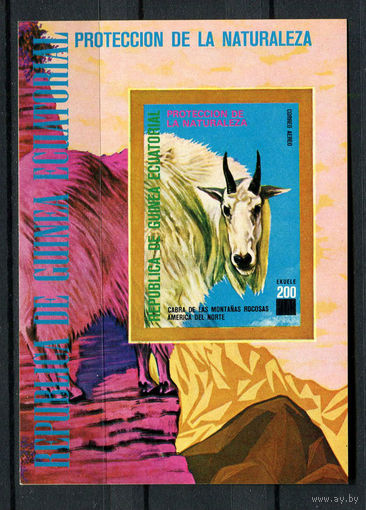 Экваториальная Гвинея - 1977 - Животные Северной Америки - [Mi. bl. 272] - 1 блок. MNH.