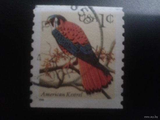 США 1996 птица