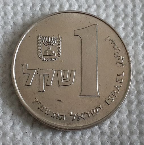 Израиль 1 шекель, 1984 (1-1-13)