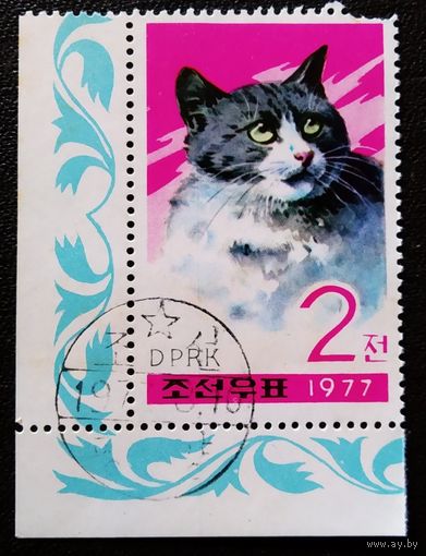 Марка КНДР 1977 год Кошка