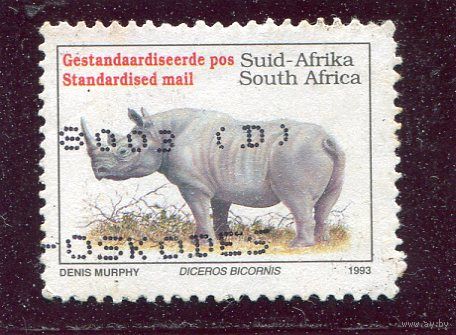 ЮАР. Фауна. Носорог
