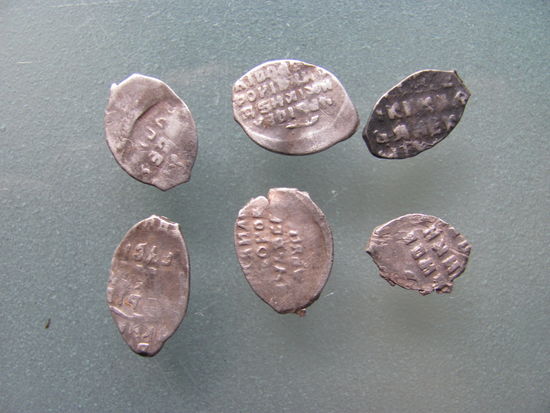 Чешуйки 6 шт.