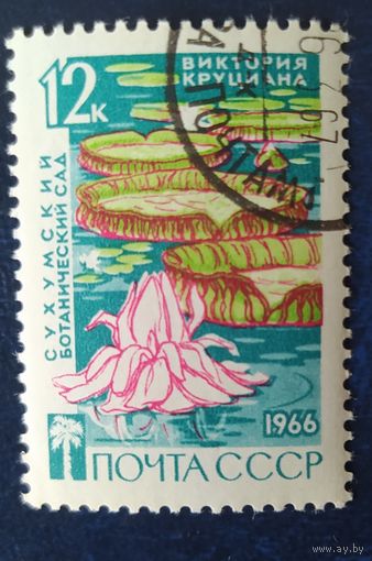 СССР 1966 Сухумский ботанический сад, цветы 1 из 3.
