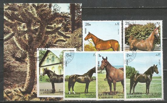 Шарджа. Породы лошадей. 1972г. Mi#1006-10+Бл116.