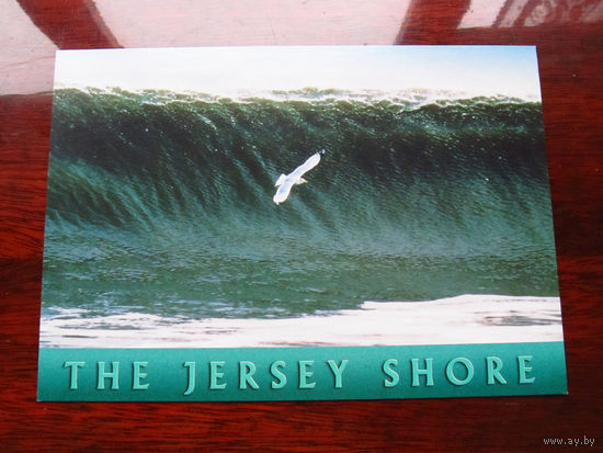 С005-3058 Открытка The Jersey Shore США Конец 1990-х – начало 2000-х Подписана