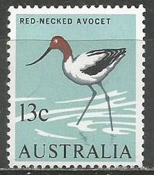 Австралия. Птицы. Австралийская шипоклювка. 1966г. Mi#368.