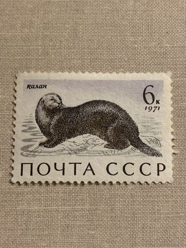 СССР 1971. Калан