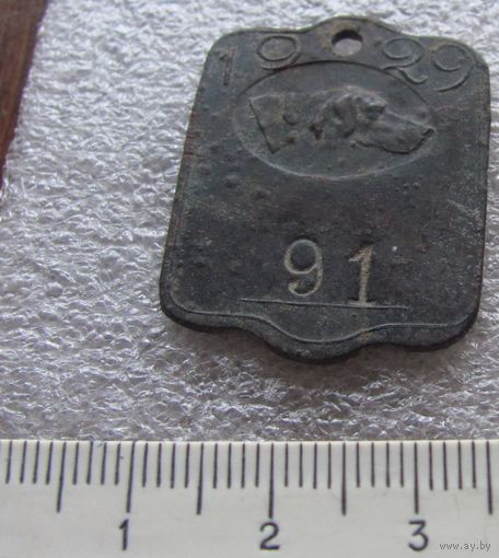 Жетон собачий 1929 год Косичи 91