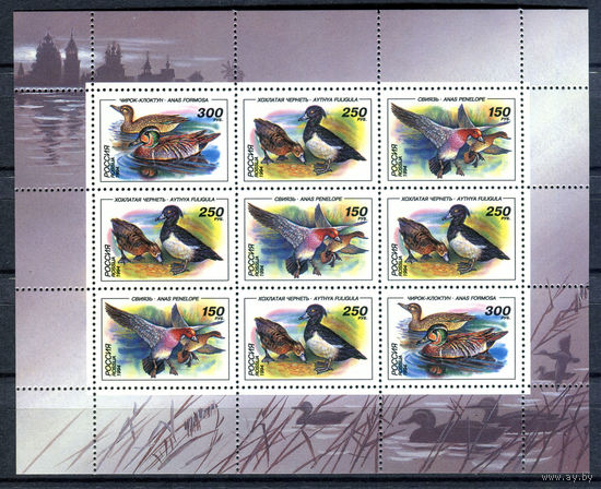 Россия - 1994г. - Утки - полная серия, MNH [Mi 389-391] - 1 малый лист