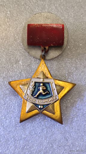 Знак значок дембельское творчество,звезда бронза