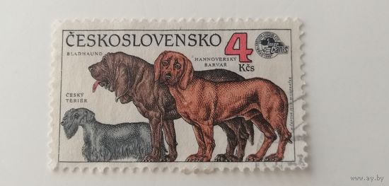 Чехословакия 1990. Собаки.