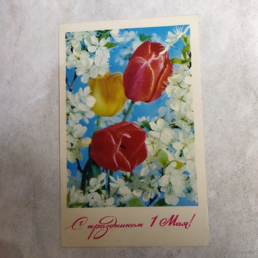 Открытка. С праздником 1 мая! Костенко. 1971 год. Подписана.