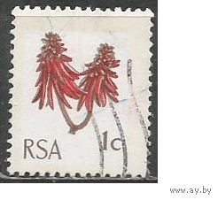 ЮАР. Коралловое дерево. 1969г. Mi#379.