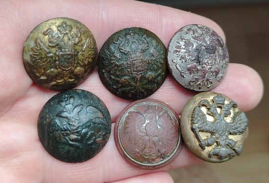 Пуговицы орлянки