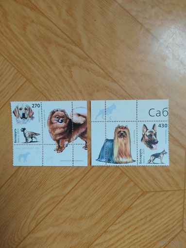 Беларусь марки с купоном 2003 г. Собаки.