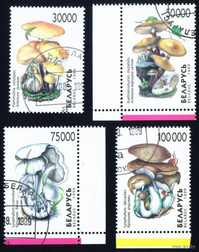 Грибы Беларусь 1999 год (341-344) серия из 4-х марок