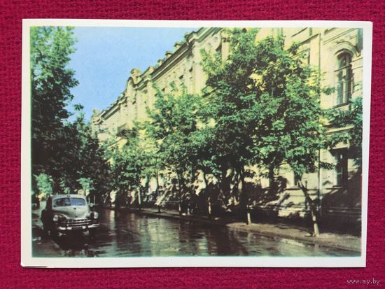 Могилев. Педагогический институт. Ананьины 1963 г. Чистая.