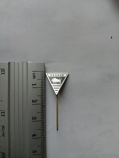 Значок Каунас