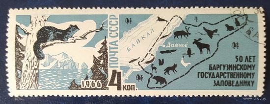 СССР 1966 Баргузинский заповедник, соболь 1 из 2.