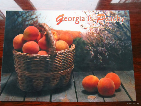 C005-3077 Открытка Georgia is Peachy США Конец 1990-х – начало 2000-х Чистая