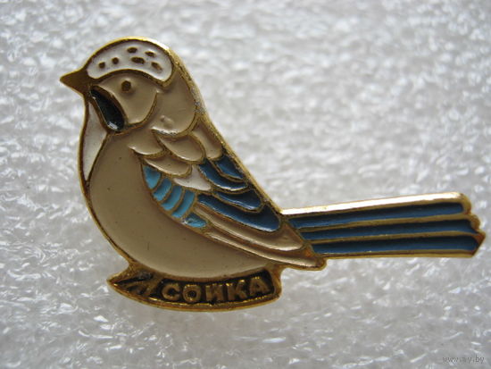 Сойка.