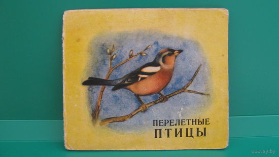 Буклет "Перелетные птицы", СССР.