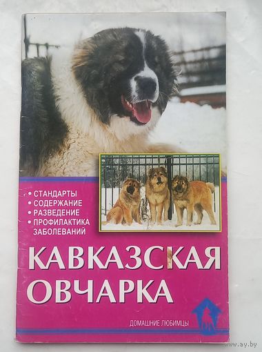 Кавказская овчарка.