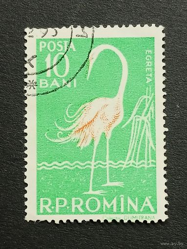 Румыния 1957. Птицы - фауна дельты Дуная. Большая белая цапля