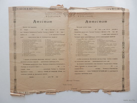 Бланк Аттестат Витебск кооперативно-торговый техникум 20-е годы
