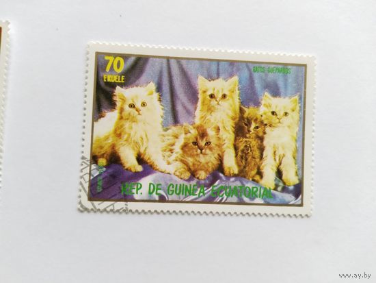 Эк.Гвинея 1972 коты
