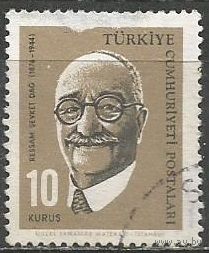 Турция. Шевкет Даг. Художник. 1964г. Mi#1905.