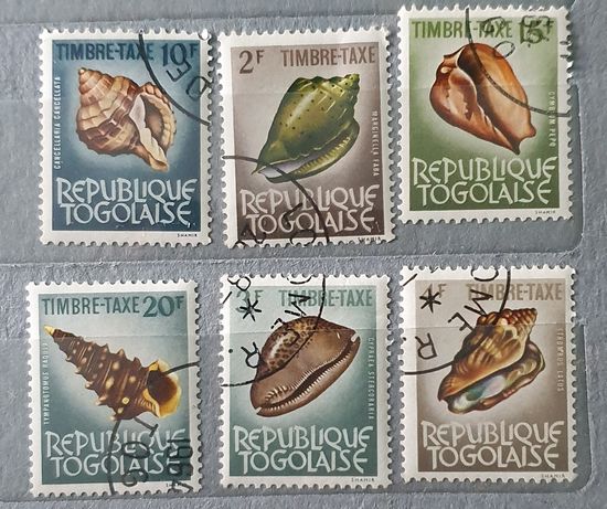 Того ракушки 6шт