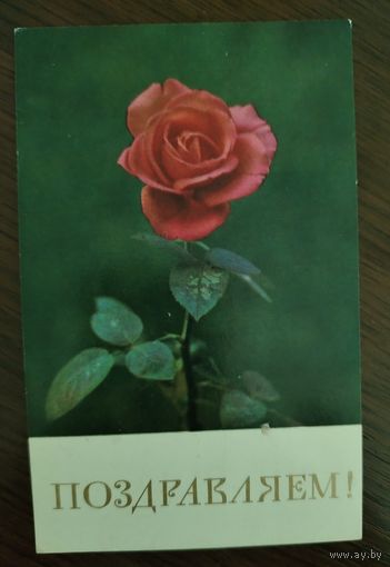 Поздравляем Подписана Куцан А. 1974