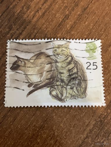 Великобритания 1995. Домашние кошки. Марка из серии