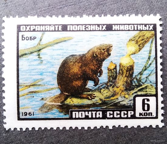 Марка СССР 1961 год Бобр