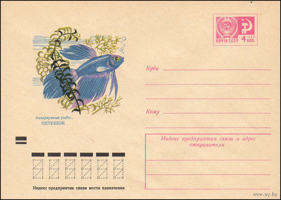 Художественный маркированный конверт СССР N 8232 (11.05.1972) Аквариумные рыбы. Петушок