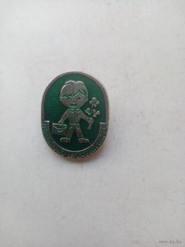 ЗНАЧОК ПЕРВЫЙ РАЗ В ПЕРВЫЙ КЛАСС (2)